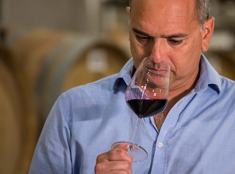 WINETOURISM