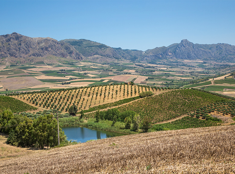 La campagna siciliana